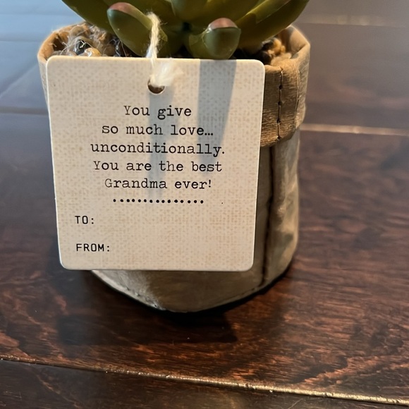 Grandma faux succulent plant - Picture 3 of 7